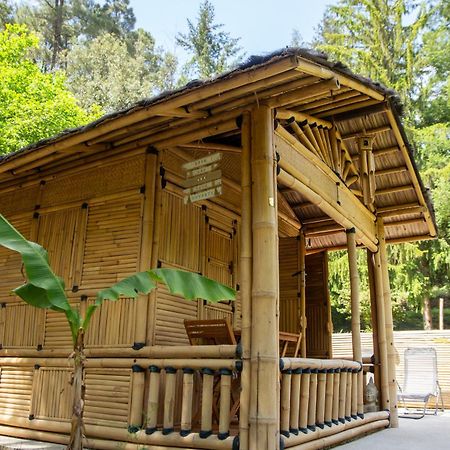 Suite Bambou Bien-Etre A Bali - Le Soleil Des Cevennes Saint-Jean-du-Gard Exterior photo